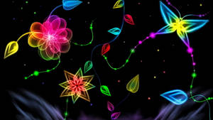 Neon Flowers Hd Light Wallpaper