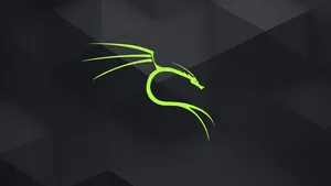 Neon Green Kali Linux Hd Wallpaper