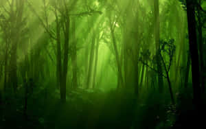 Neon Green Magical Forest Wallpaper