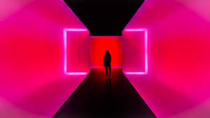 Neon In Museum Houston Wallpaper