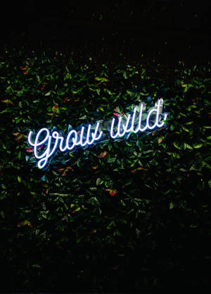 Neon Lights Grow Wild Wallpaper