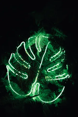 Neon Lights Monstera Leaf Wallpaper