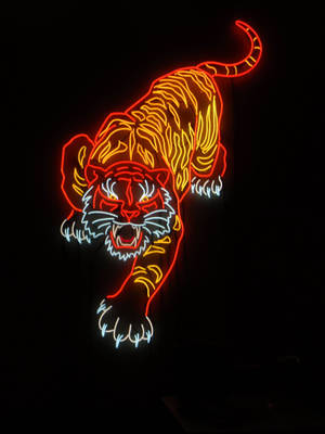 Neon Orange Angry Tiger Wallpaper