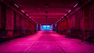 Neon Pink Underground Tunnel Wallpaper