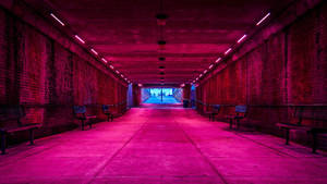 Neon Pink Urban Tunnel Wallpaper