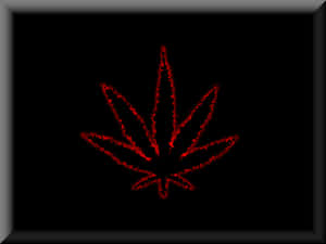 Neon Red Cannabis Leaf Wallpaper