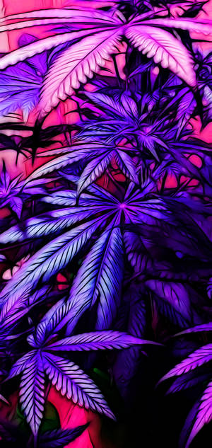 Neon Weed Aesthetic For Iphone Wallpaper