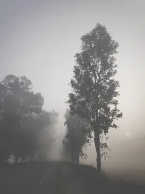 Nepal Damak Road Wallpaper