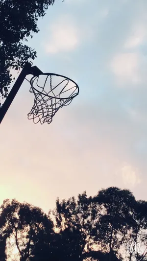 Netball Ring Hoop Sunset Wallpaper