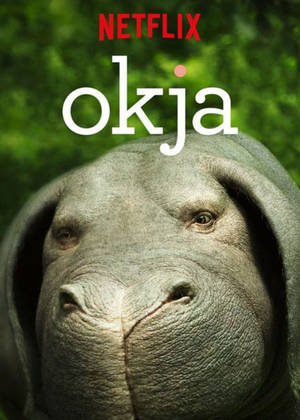 Netflix Super Pig Okja Wallpaper