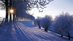 Netherlands Road In Winter Desktop Wallpaper