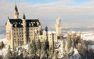 Neuschwanstein Castle Snowy Surroundings Wallpaper