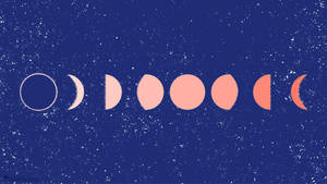 Neutral-colored Moon Phases Wallpaper