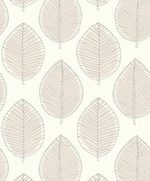 Neutral Iphone Leaf Sketch Wallpaper