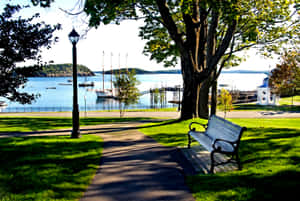 New England Summer Park Sea Wallpaper