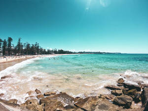 New South Wales Manly Beach Wallpaper