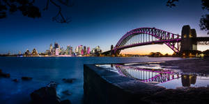 New South Wales Purple Bridge Wallpaper