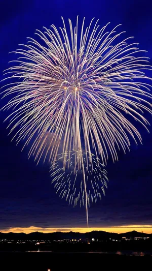 New Year Iphone Fireworks In Sky Wallpaper