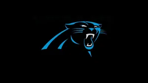 Nfl Carolina Panthers Wallpaper