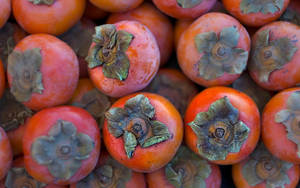 Nice Persimmon Fruit Wallpaper