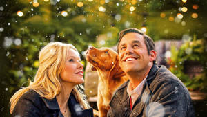 Nicholas Brendon In A Golden Christmas Wallpaper