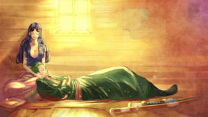 Nico Robin One Piece Zoro Sleeping Wallpaper