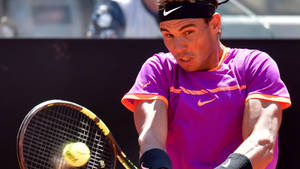 Nicolas Almagro Storming The Tennis Court Wallpaper