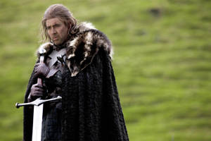 Nicolas Cage Meme Eddard Stark Wallpaper