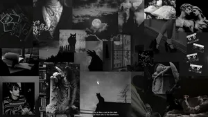 Night Black Aesthetic Collage Tumblr And Laptop Wallpaper