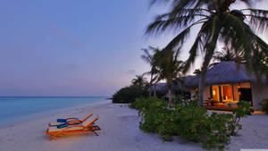 Nighttime Beach Scenes Desktop Wallpaper