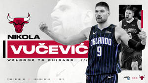 Nikola Vucevic Orlando Magic To Chicago Bulls Art Wallpaper