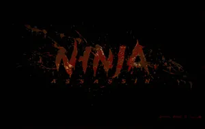 Ninja Assassin Poster Wallpaper