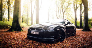 Nissan Skyline Gtr R35 Autumn Forest Wallpaper