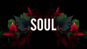 No Limits To Your Style With Black Dope Wallpaper