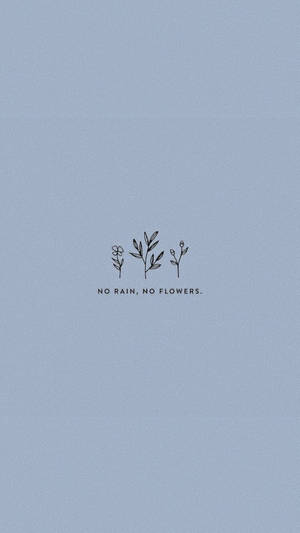 No Rain No Flowers Cute Aesthetic Wallpaper