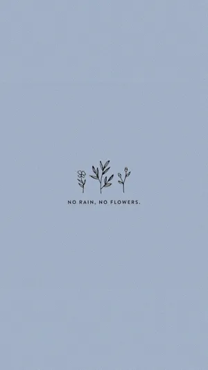 No Rain No Flowers Cute Aesthetic Wallpaper