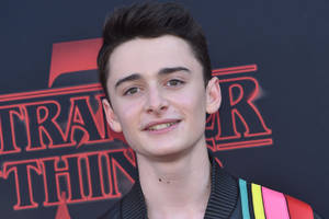 Noah Schnapp At Stranger Things Premiere Wallpaper