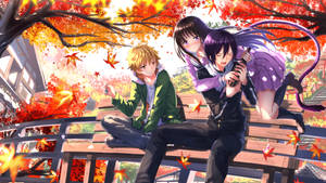 Noragami Autumn Trees Park Wallpaper