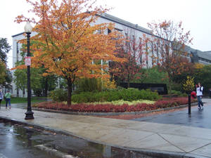 Northeastern University Building Wallpaper