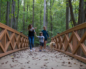 Northwest River Park In Chesapeake Wallpaper