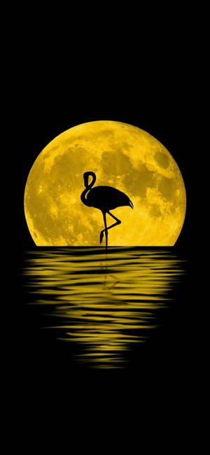 Note 10 Plus Flamingo Moon Wallpaper