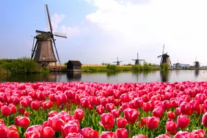 Nothing Beats A Trip To Amsterdam In The Spring Wallpaper