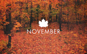 November Desktop Autumn Season Wallpaper