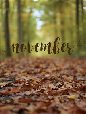 November Iphone Screensaver Theme Wallpaper