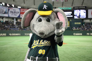 Oakland Athletics Mascot Wallpaper