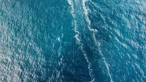 Ocean Malta Wallpaper