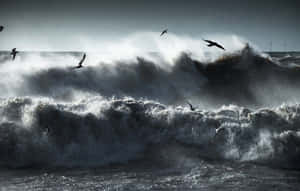 Ocean Storm With Huge Sea Waves Wallpaper