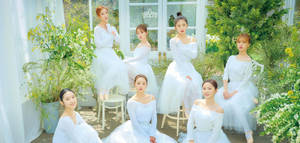 Oh My Girl In White Dresses Wallpaper