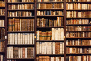 Old Books On Shelves Wallpaper