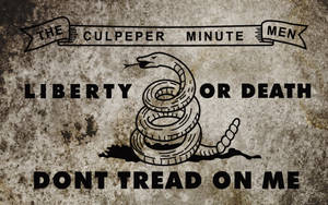 Old Original Gadsden Flag Wallpaper